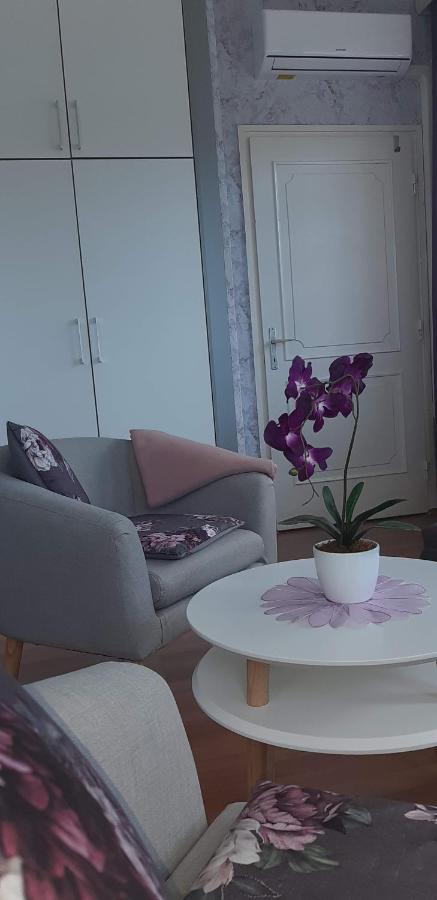 Lila Haz Lägenhet Harkány Exteriör bild