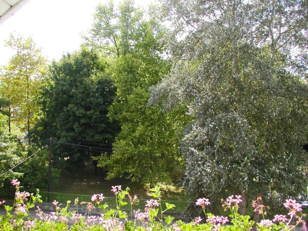 Lila Haz Lägenhet Harkány Exteriör bild